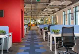 广东冬季代用茶厂家